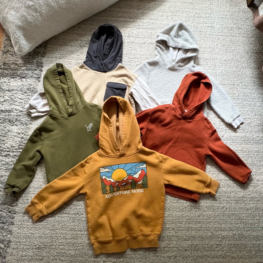Lot of Toddler Boy Hoodies Size 3/4T